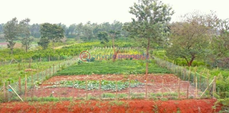 Residential Land For Sale Oaklands Estate Oaklands Ruiru Kiambu - 27