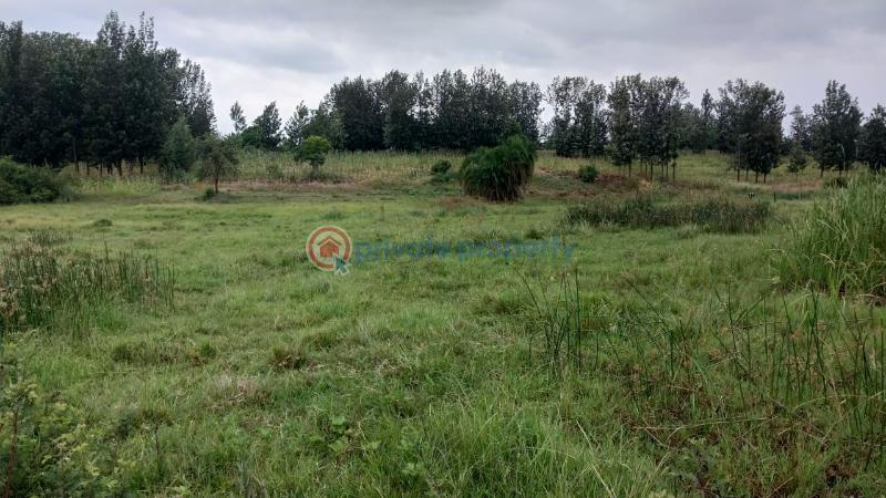 FARMS FOR SALE IN MURANGA visual data 8
