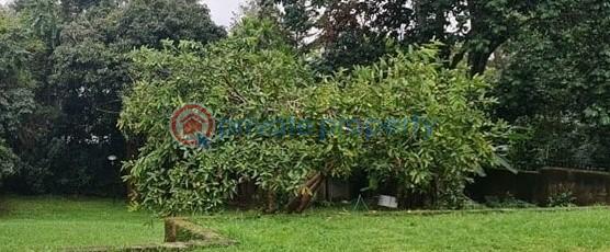Residential Land For Sale Junction Of Elgeyo Marakwet Road And Kilungu Road Kilimani Nairobi - 0