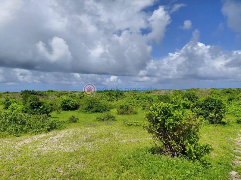 Land For Sale Ocean Front Jacaranda Beach. Watamu Kilifi - 2
