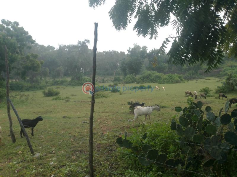 Land For Sale Kilifi, Bofa Area Mnarani Kilifi - 2