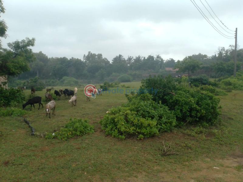 Land For Sale Kilifi, Bofa Area Mnarani Kilifi - 3