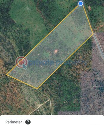Land For Sale Ngatataek Namanga Road Kitengela Kajiado - 1