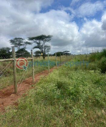 Land For Sale Ngatataek Namanga Road Kitengela Kajiado - 2