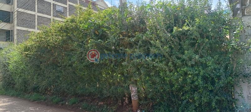 Land For Sale Off Limuru Rd, Ruaka ruaka Kiambu - 3