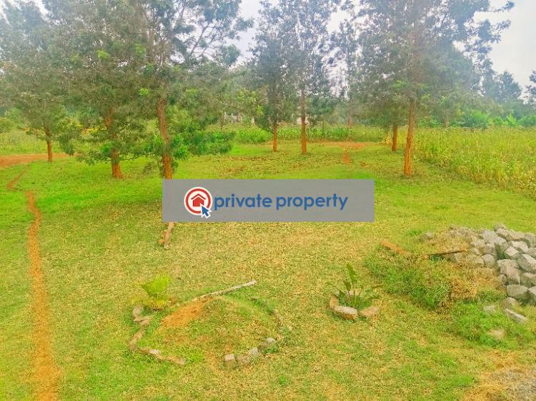 Residential Land For Sale &nbsp;the Springs Oaklands Ruiru Kiambu - 8
