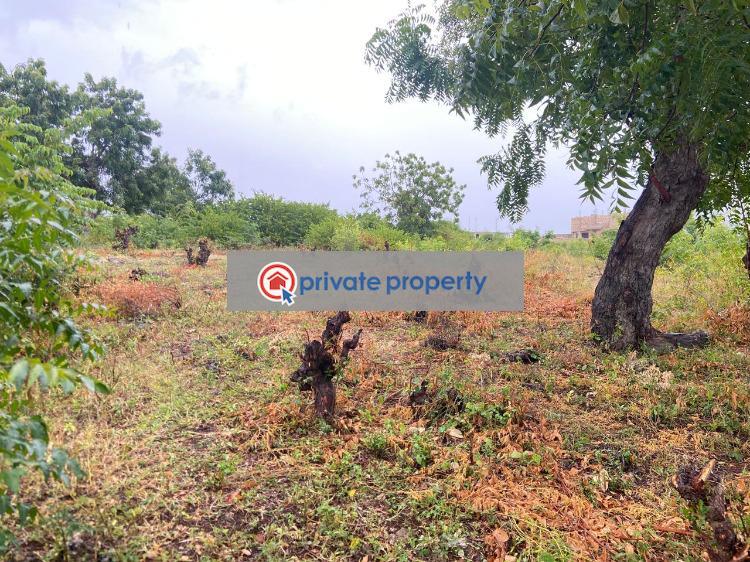Land For Sale &nbsp;kilifi Bofa Beach Malindi Town Kilifi - 2