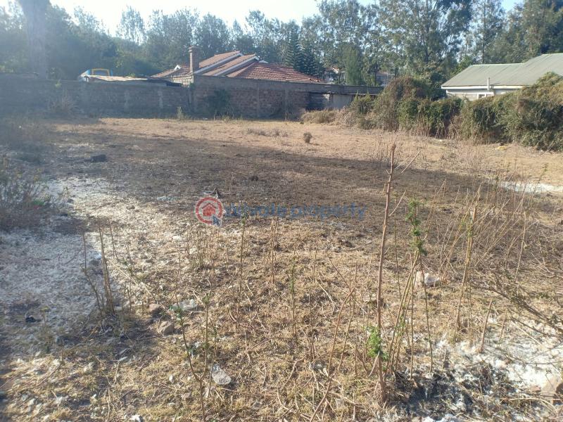 Land For Sale Laiser Hill Magadi Road. Ongata Rongai Kajiado - 4