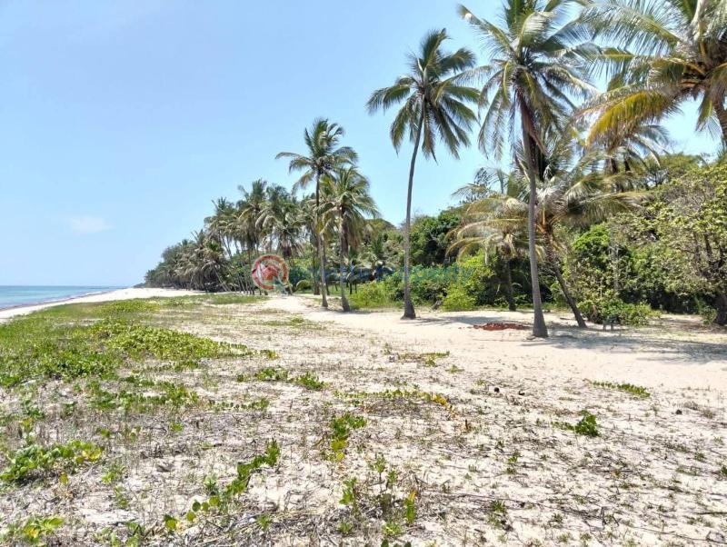 Land For Sale Diani ,beach Diani Beach Ukunda Kwale - 3