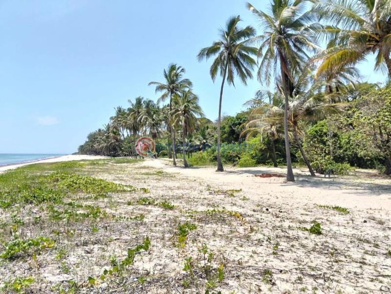 Land For Sale Tiwi, Kwale Beach Area Kinondo Kwale - 4