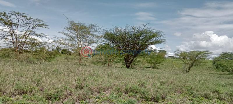 Land For Sale Isinya, Kiserian Road Kaputiei North Kajiado - 0