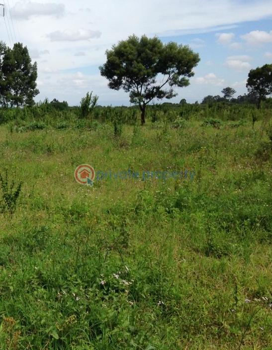 Mixed use Land For Sale Redhill, Limuru Rod Limuru East Kiambu - 0