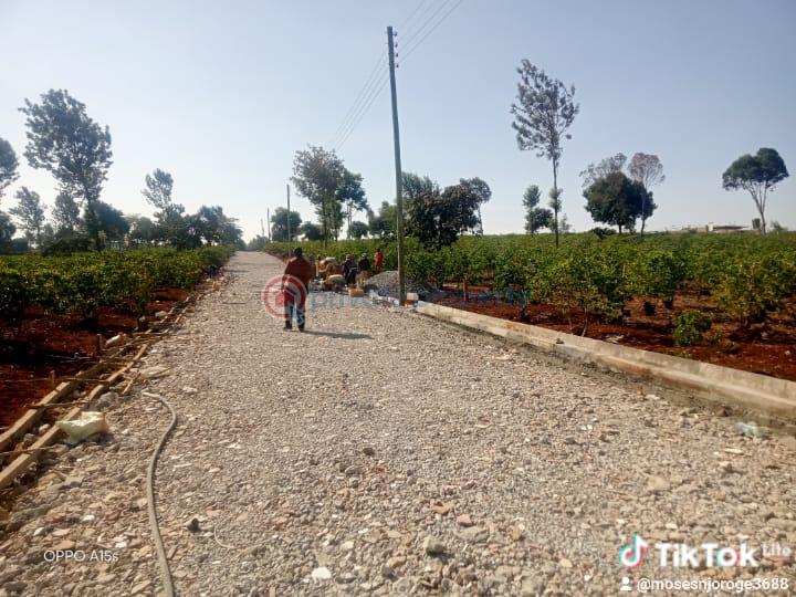 Land For Sale Runda Estate Nairobi Runda Westlands Nairobi (PID: 4PAMWG ...