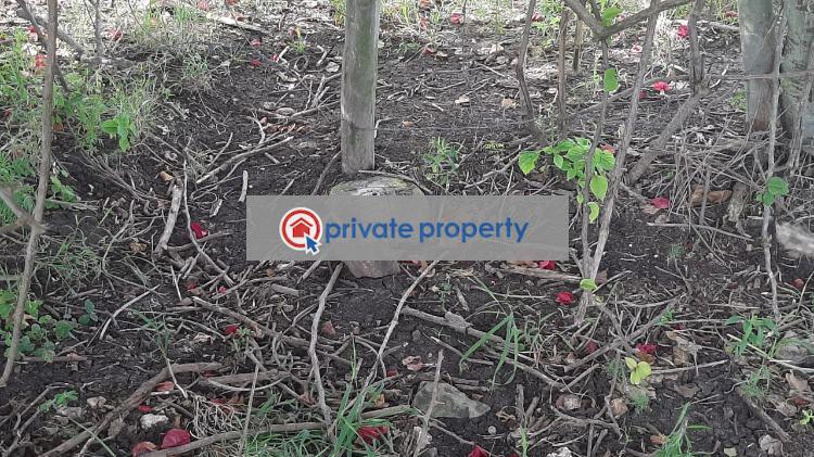 Land For Sale &nbsp;kitengela Kajiado Kitengela  - 6
