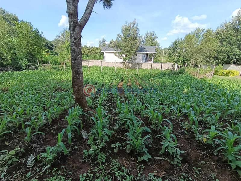 Land For Sale Kerarapon Karen Nairobi - 3