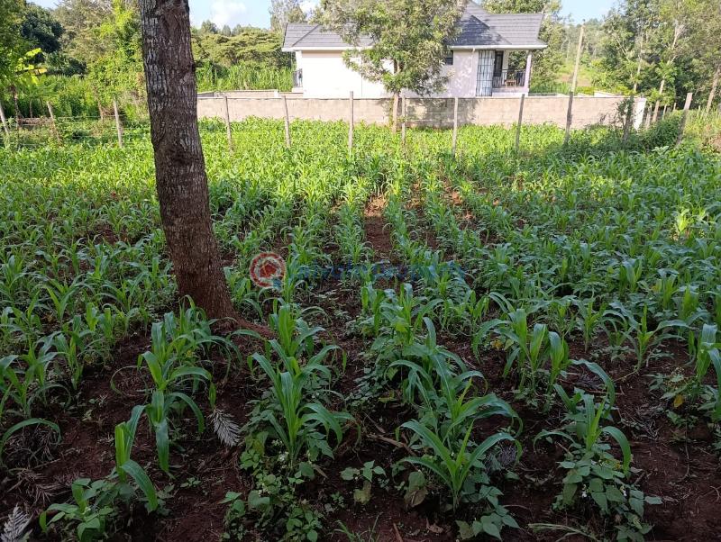 Land For Sale Kerarapon Karen Nairobi - 5