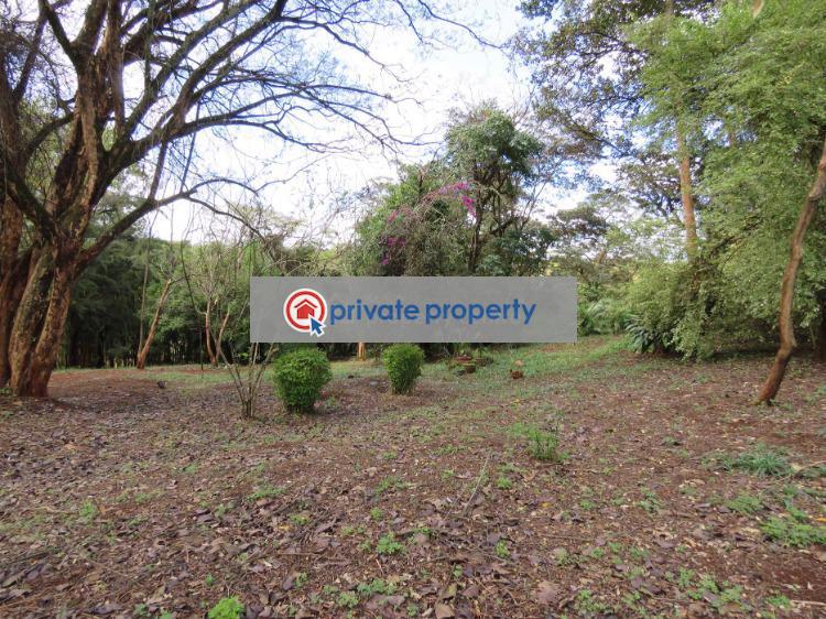Residential Land For Sale &nbsp;kitisuru Road Kitisuru Nairobi - 2