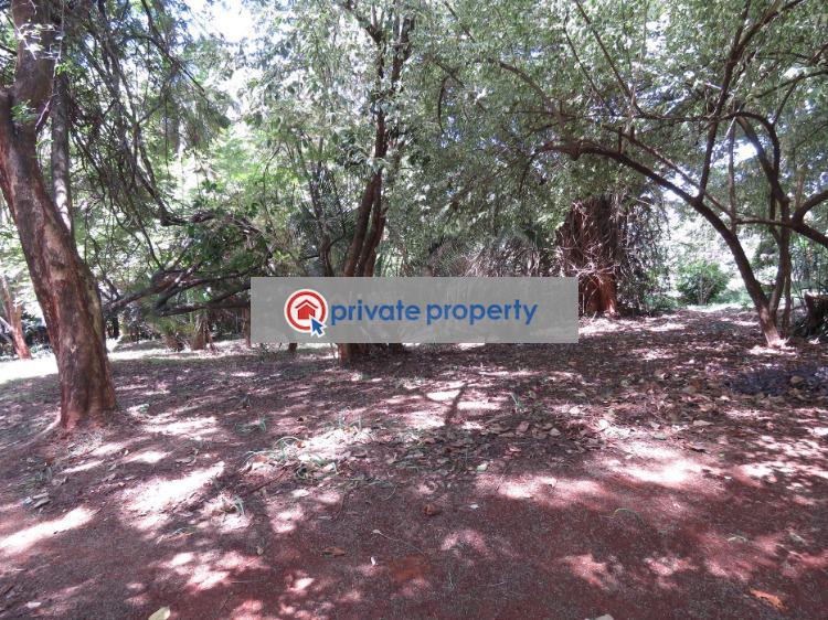 Residential Land For Sale &nbsp;kitisuru Road Kitisuru Nairobi - 8