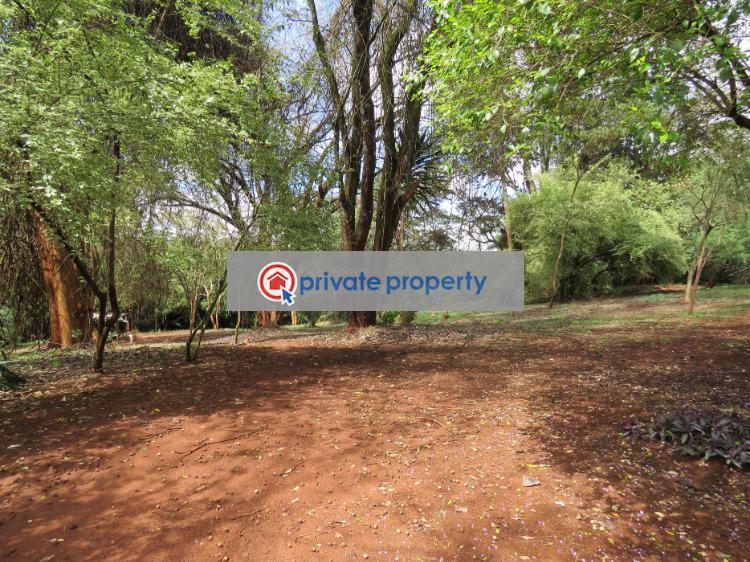Residential Land For Sale &nbsp;kitisuru Road Kitisuru Nairobi - 1