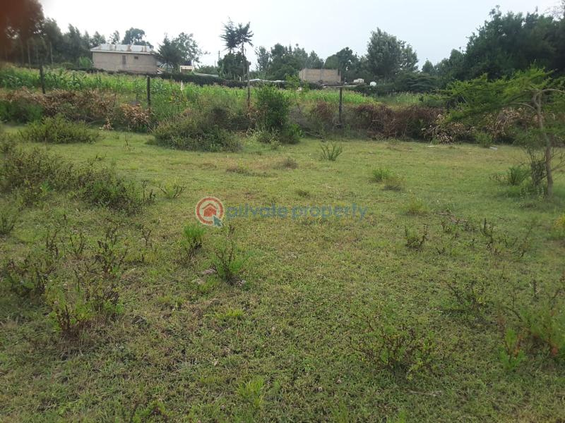 Land For Sale Matasia Rongai Tarmac Road A Few Meters From The Tarmac Road Ongata Rongai Kajiado - 4