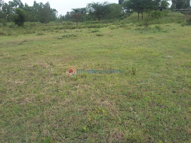 Land For Sale Matasia Rongai Tarmac Road A Few Meters From The Tarmac Road Ongata Rongai Kajiado - 5