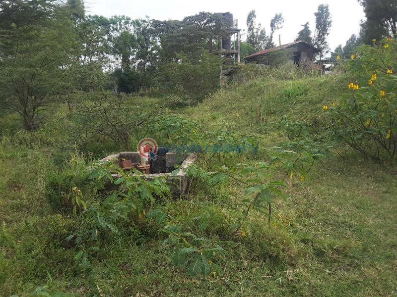 Land For Sale Matasia Rongai Tarmac Road A Few Meters From The Tarmac Road Ongata Rongai Kajiado - 6