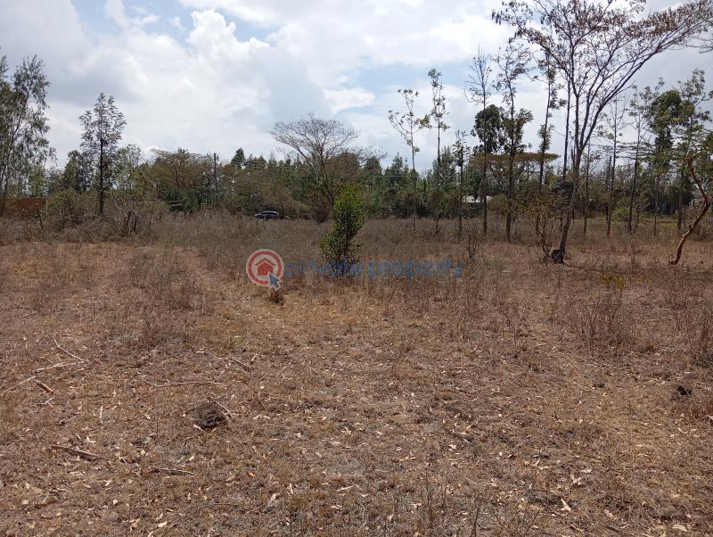 Land For Sale Matasia Ngong Kajiado - 5