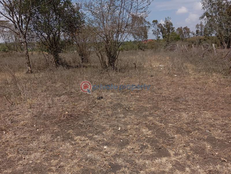 Land For Sale Matasia Ngong Kajiado - 7
