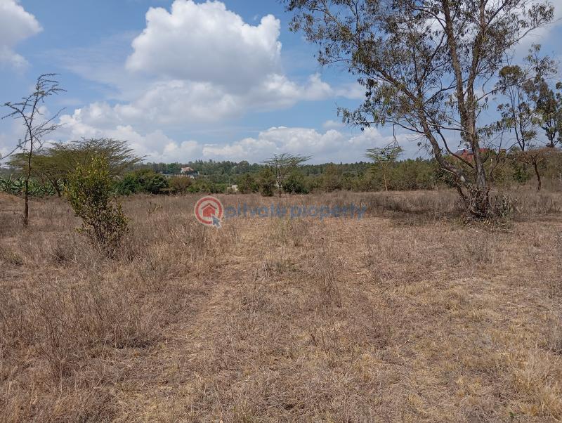 Land For Sale Matasia Ngong Kajiado - 6