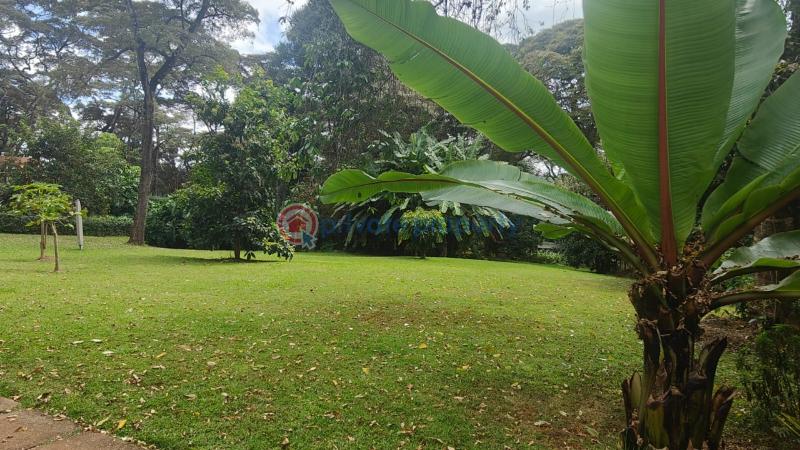 Land For Sale Mwitu Karen Kikenni Road Karen Nairobi - 0