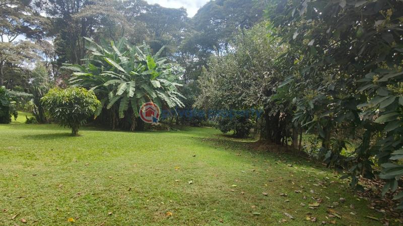 House For Sale Nairobi Karen  - 24