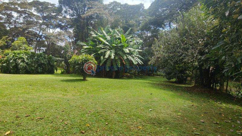 Land For Sale Karen Mwitu Estate Nairobi Karen  - 7