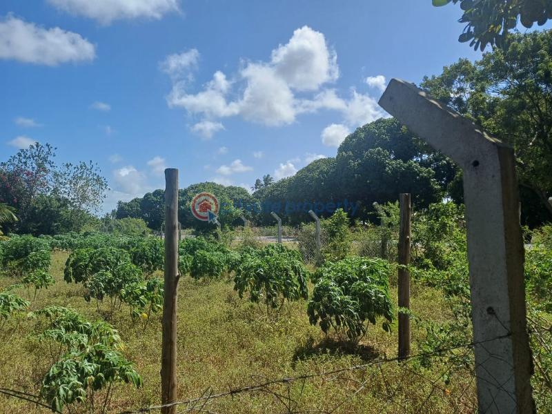 Commercial Land For Sale Tezo Kilifi  - 2