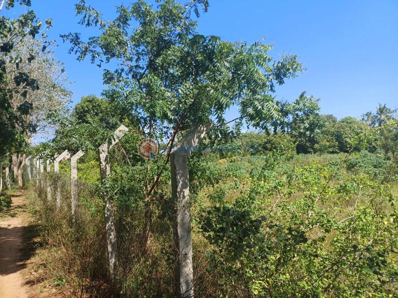 Commercial Land For Sale Tezo Kilifi  - 4