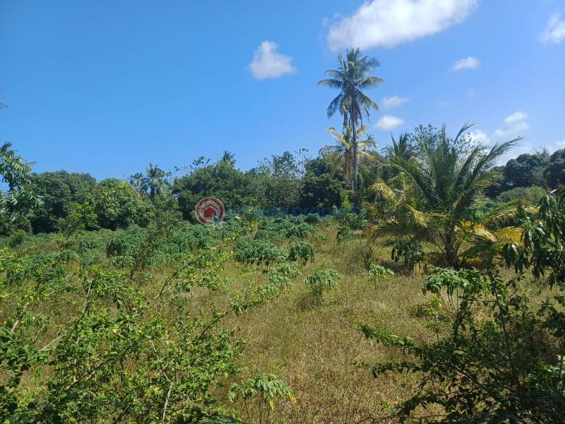 Commercial Land For Sale Tezo Kilifi  - 5