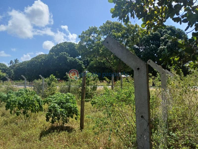 Commercial Land For Sale Tezo Kilifi  - 3
