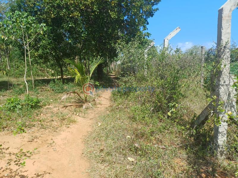 Commercial Land For Sale Tezo Kilifi  - 1