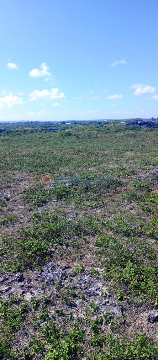 Land For Sale Tezo Zowerani Tezo Kilifi  - 9