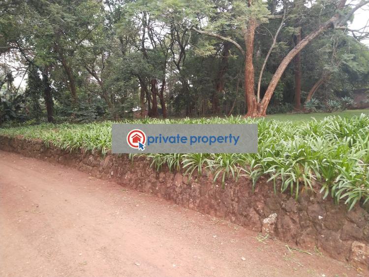 Land For Sale &nbsp;old Muthaiga Muthaiga Nairobi - 2