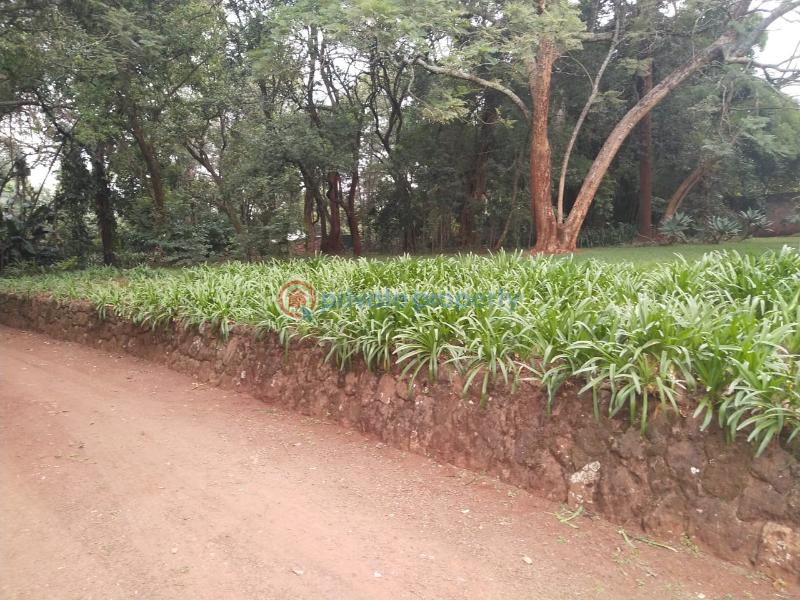 Land For Sale Old Muthaiga Nairobi - 2