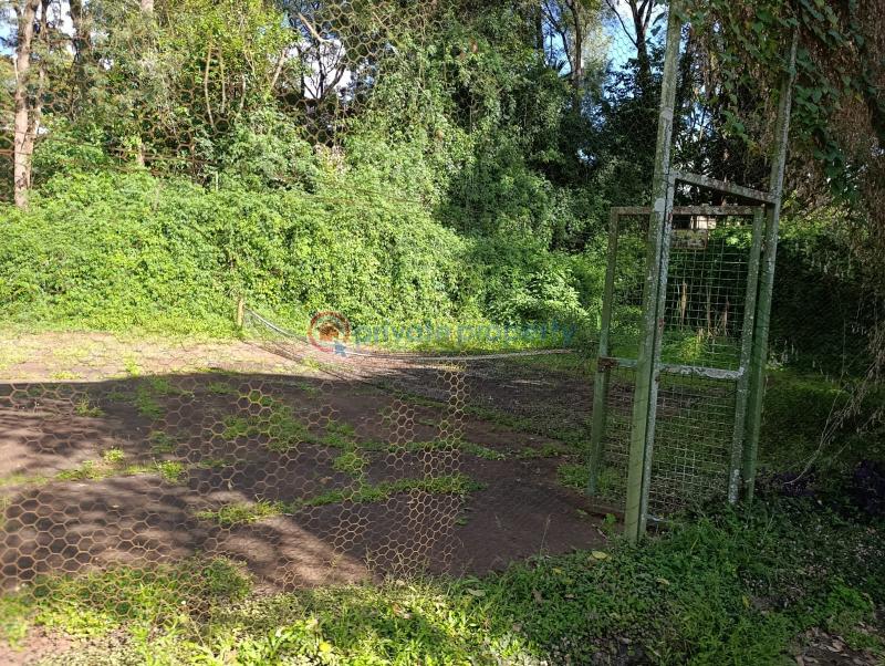Land For Sale New Muthaiga Nairobi - 2