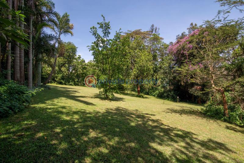 Land For Sale Old Muthaiga Nairobi - 8