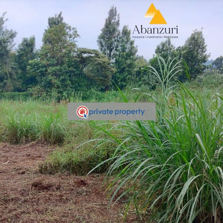 Residential Land For Sale &nbsp;ziwani Estate Kidfarmaco Kikuyu Kiambu - 4