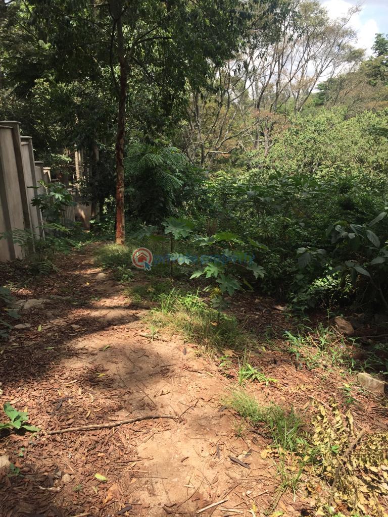 Land For Sale Old Muthaiga Nairobi - 4