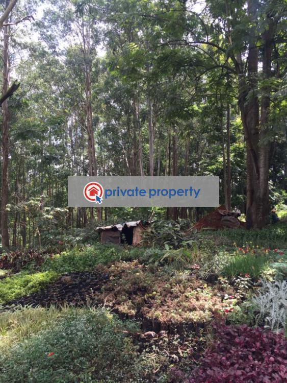 Land For Sale &nbsp;old Muthaiga Muthaiga Nairobi - 1