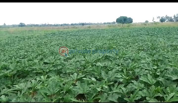 Commercial Land For Sale Matolani, Magarini Sub County Of Kilifi Chakama. Kilifi - 3