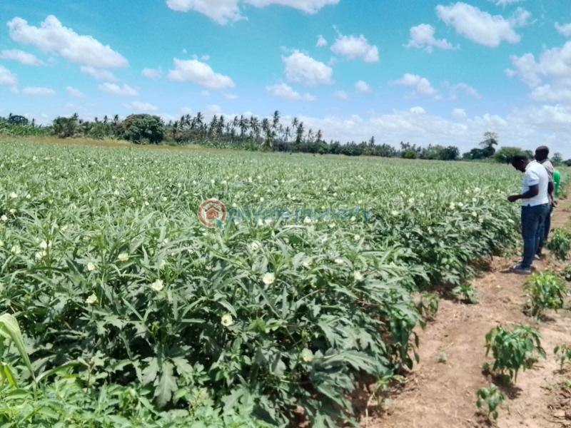 Commercial Land For Sale Matolani, Magarini Sub County Of Kilifi Chakama. Kilifi - 5