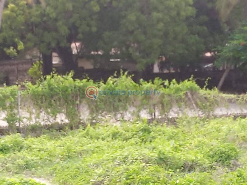 Land For Sale Malindi Cassorina Malindi. Malindi Town Kilifi - 3
