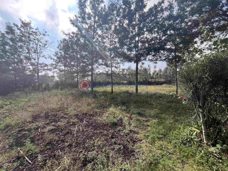 Land For Sale Rurigi Close Rimpa Ongata Rongai Kajiado - 0