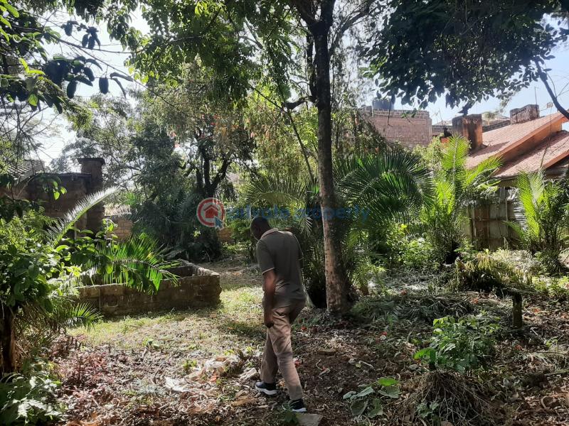 Land For Sale Githuri Githurai 44 Nairobi - 5